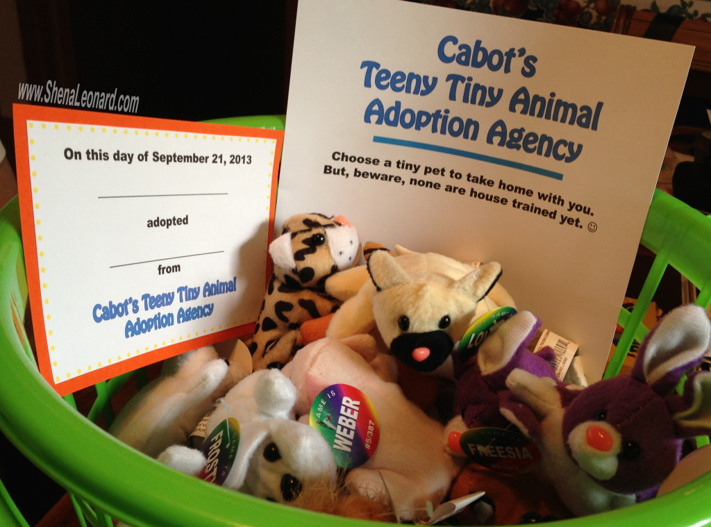 Party Favor Idea: Teeny Tiny Animal Adoption Agency with little stuffed animals and adoption certificates for kids to bring home. (=