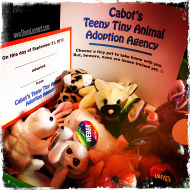 Party Favor Idea: Teeny Tiny Animal Adoption Agency with little stuffed animals and adoption certificates for kids to bring home. (=