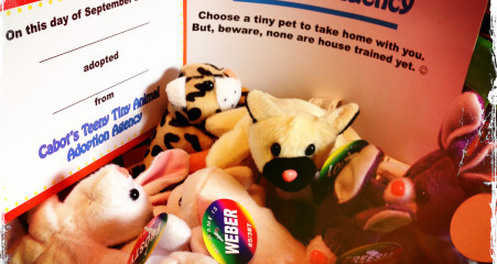 Party Favor Idea: Teeny Tiny Animal Adoption Agency with little stuffed animals and adoption certificates for kids to bring home. (=